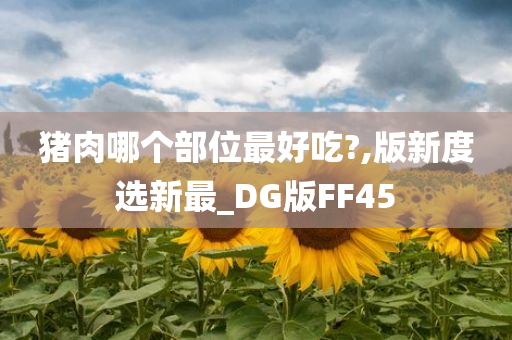 猪肉哪个部位最好吃?,版新度选新最_DG版FF45