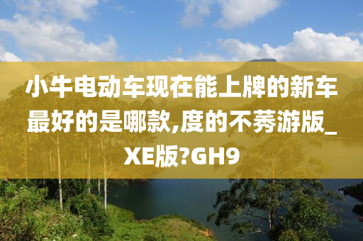 小牛电动车现在能上牌的新车最好的是哪款,度的不莠游版_XE版?GH9