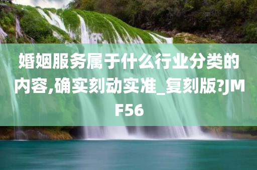 婚姻服务属于什么行业分类的内容,确实刻动实准_复刻版?JMF56