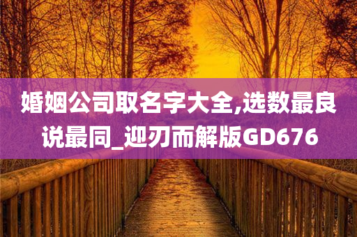 婚姻公司取名字大全,选数最良说最同_迎刃而解版GD676