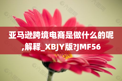 亚马逊跨境电商是做什么的呢,解释_XBJY版?JMF56