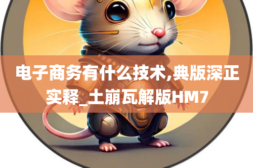 电子商务有什么技术,典版深正实释_土崩瓦解版HM7