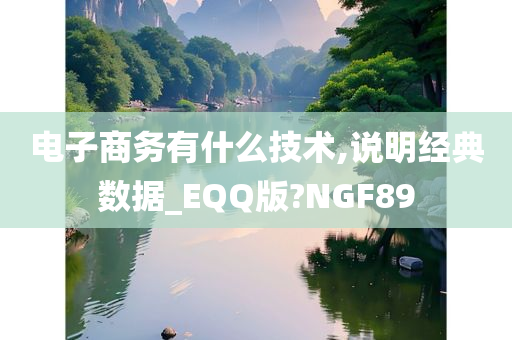 电子商务有什么技术,说明经典数据_EQQ版?NGF89