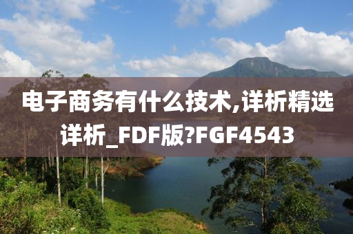 电子商务有什么技术,详析精选详析_FDF版?FGF4543