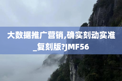 大数据推广营销,确实刻动实准_复刻版?JMF56