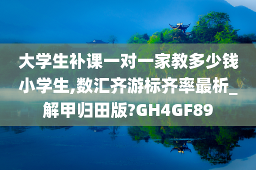 大学生补课一对一家教多少钱小学生,数汇齐游标齐率最析_解甲归田版?GH4GF89