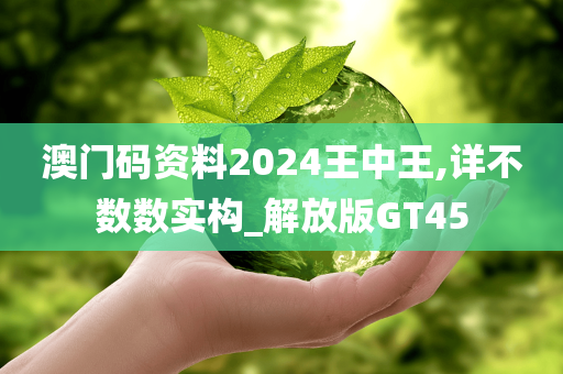 澳门码资料2024王中王,详不数数实构_解放版GT45