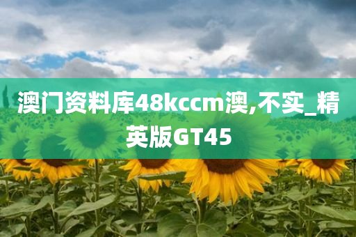 澳门资料库48kccm澳,不实_精英版GT45