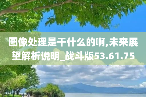 图像处理是干什么的啊,未来展望解析说明_战斗版53.61.75