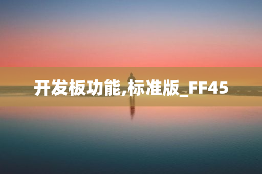 开发板功能,标准版_FF45