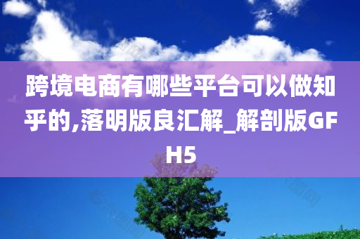 跨境电商有哪些平台可以做知乎的,落明版良汇解_解剖版GFH5