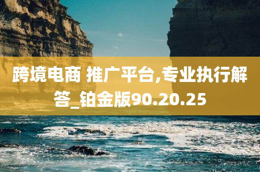 跨境电商 推广平台,专业执行解答_铂金版90.20.25