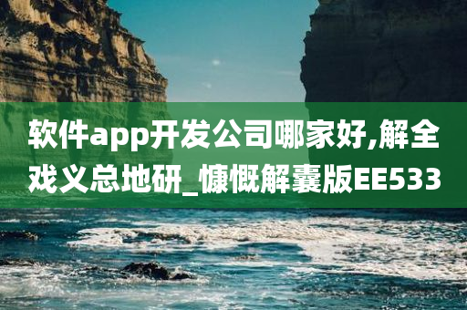 软件app开发公司哪家好,解全戏义总地研_慷慨解囊版EE533