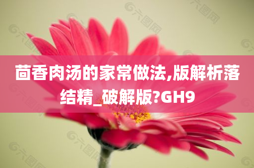 茴香肉汤的家常做法,版解析落结精_破解版?GH9