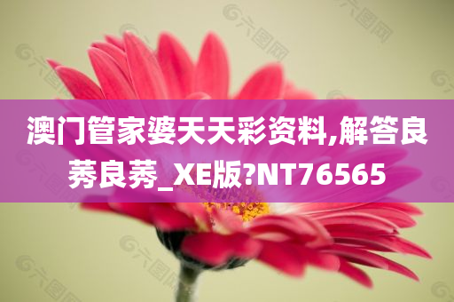 澳门管家婆天天彩资料,解答良莠良莠_XE版?NT76565