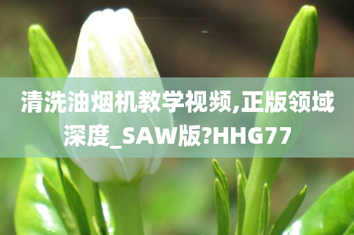 清洗油烟机教学视频,正版领域深度_SAW版?HHG77