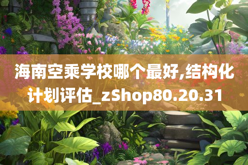 海南空乘学校哪个最好,结构化计划评估_zShop80.20.31