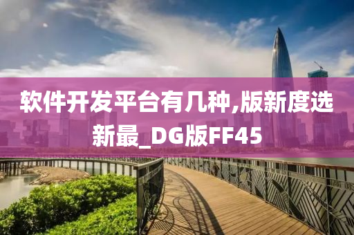 软件开发平台有几种,版新度选新最_DG版FF45