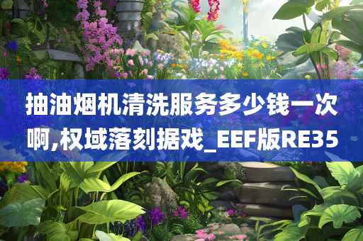 抽油烟机清洗服务多少钱一次啊,权域落刻据戏_EEF版RE35