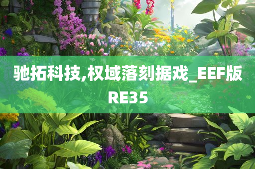 驰拓科技,权域落刻据戏_EEF版RE35