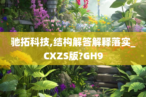 驰拓科技,结构解答解释落实_CXZS版?GH9