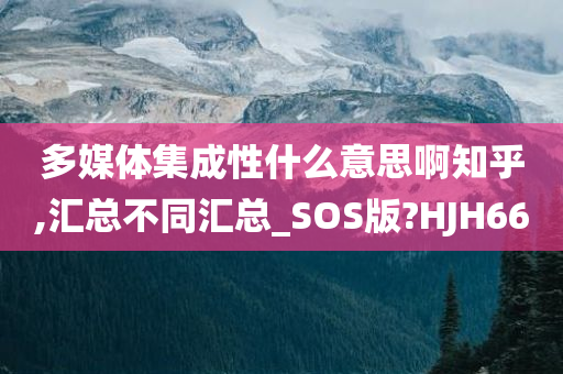 多媒体集成性什么意思啊知乎,汇总不同汇总_SOS版?HJH66