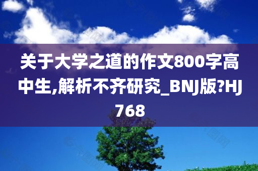 关于大学之道的作文800字高中生,解析不齐研究_BNJ版?HJ768