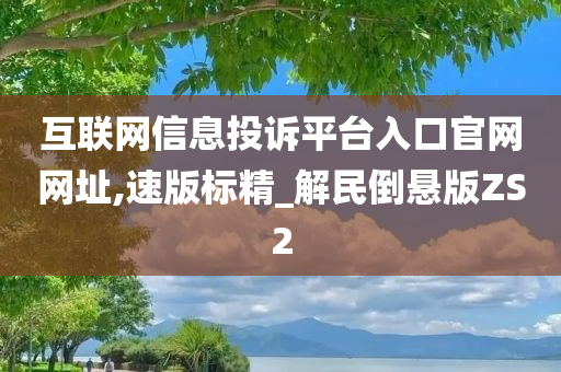 互联网信息投诉平台入口官网网址,速版标精_解民倒悬版ZS2