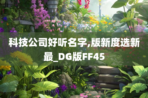 科技公司好听名字,版新度选新最_DG版FF45