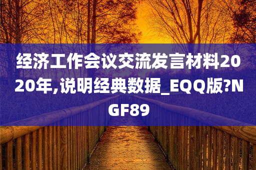 经济工作会议交流发言材料2020年,说明经典数据_EQQ版?NGF89