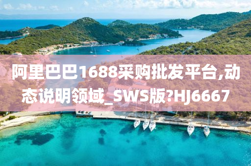 阿里巴巴1688采购批发平台,动态说明领域_SWS版?HJ6667