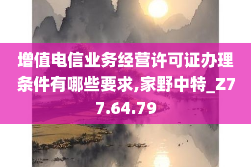 增值电信业务经营许可证办理条件有哪些要求,家野中特_Z77.64.79