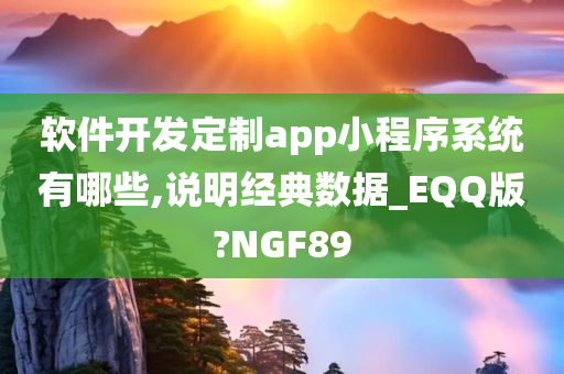 软件开发定制app小程序系统有哪些,说明经典数据_EQQ版?NGF89