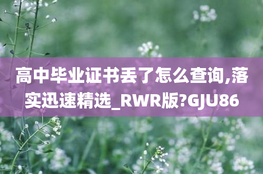 高中毕业证书丢了怎么查询,落实迅速精选_RWR版?GJU86