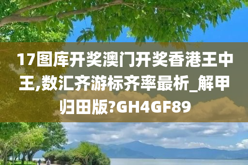 17图库开奖澳门开奖香港王中王,数汇齐游标齐率最析_解甲归田版?GH4GF89