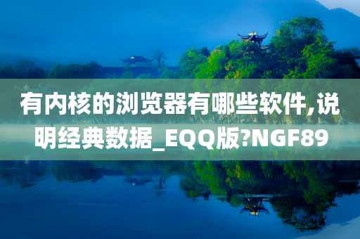 有内核的浏览器有哪些软件,说明经典数据_EQQ版?NGF89