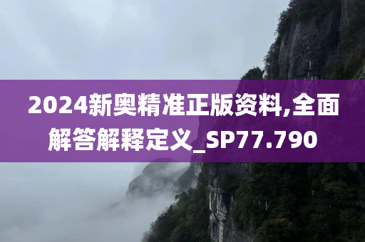 2024新奥精准正版资料,全面解答解释定义_SP77.790