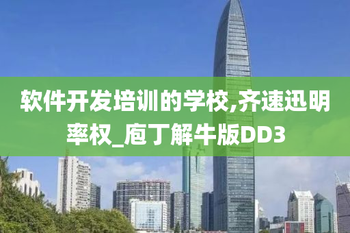 软件开发培训的学校,齐速迅明率权_庖丁解牛版DD3