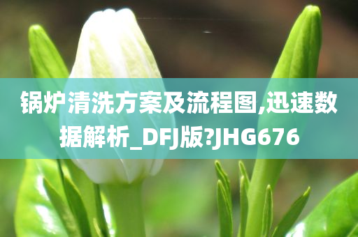 锅炉清洗方案及流程图,迅速数据解析_DFJ版?JHG676