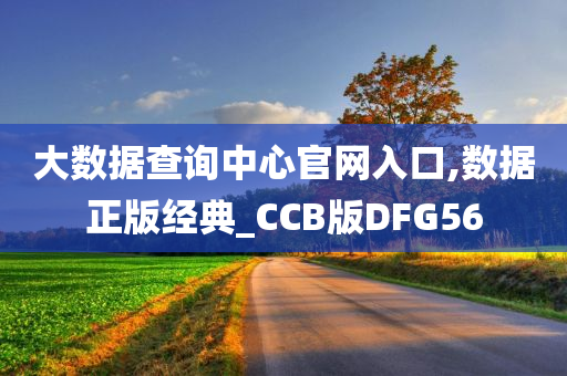 大数据查询中心官网入口,数据正版经典_CCB版DFG56