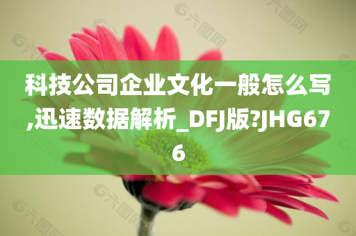 科技公司企业文化一般怎么写,迅速数据解析_DFJ版?JHG676