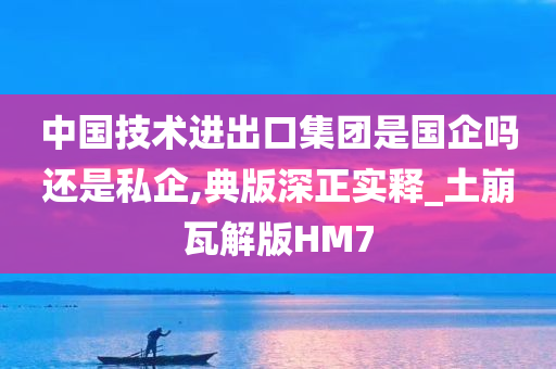 中国技术进出口集团是国企吗还是私企,典版深正实释_土崩瓦解版HM7