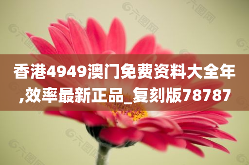 香港4949澳门免费资料大全年,效率最新正品_复刻版78787