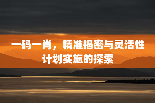 一码一肖，精准揭密与灵活性计划实施的探索