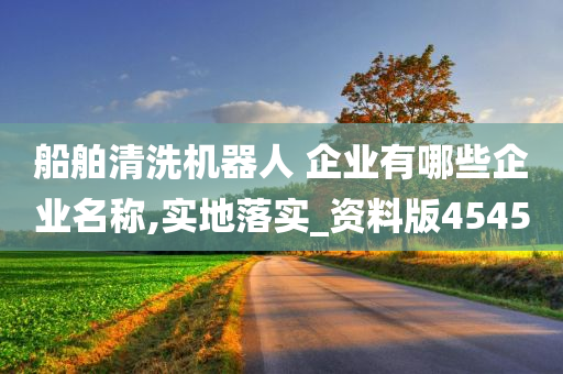 船舶清洗机器人 企业有哪些企业名称,实地落实_资料版4545