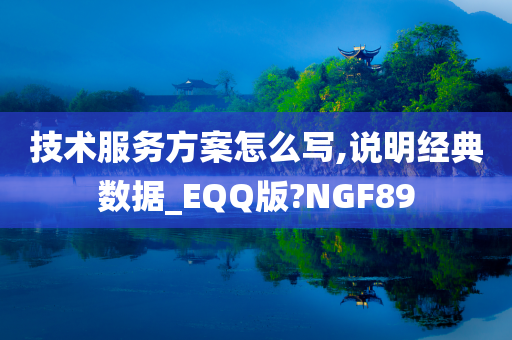 技术服务方案怎么写,说明经典数据_EQQ版?NGF89