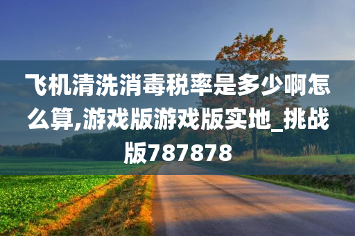 飞机清洗消毒税率是多少啊怎么算,游戏版游戏版实地_挑战版787878