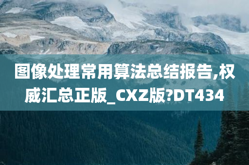 图像处理常用算法总结报告,权威汇总正版_CXZ版?DT434