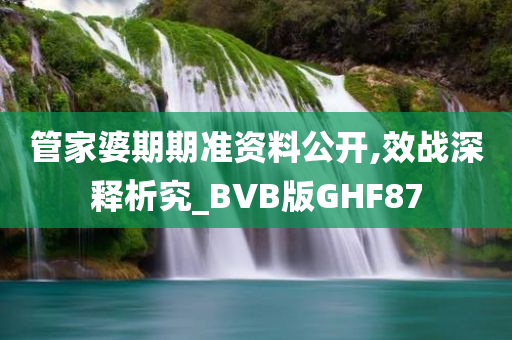 管家婆期期准资料公开,效战深释析究_BVB版GHF87