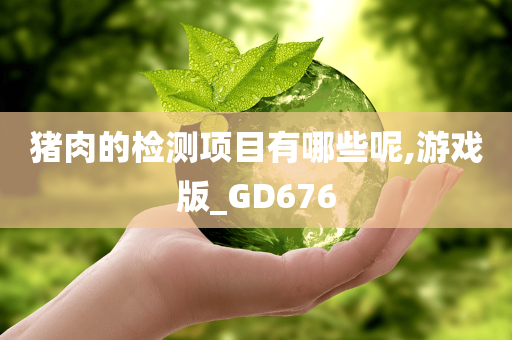 猪肉的检测项目有哪些呢,游戏版_GD676